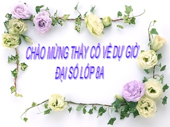 Bài giảng Đại số Lớp 8 - Chương 2 - Bài 2: Tính chất cơ bản của phân thức (Bản mới)