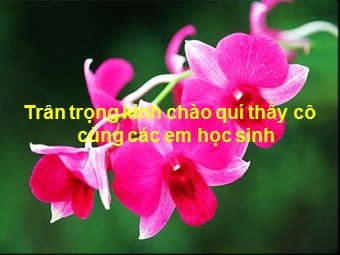 Bài giảng Đại số Lớp 8 - Chương 2 - Bài 3: Rút gọn phân thức (Bản hay)