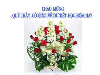 Bài giảng Đại số Lớp 8 - Chương 2 - Bài 3: Rút gọn phân thức (Chuẩn kiến thức)