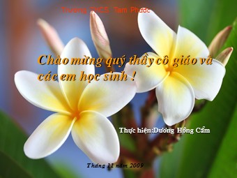 Bài giảng Đại số Lớp 8 - Chương 2 - Bài 7: Phép nhân các phân thức đại số - Dương Hồng Cẩm