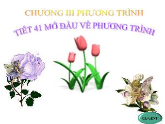 Bài giảng Đại số Lớp 8 - Chương 3 - Bài 1: Mở đầu về phương trình (Chuẩn kiến thức)