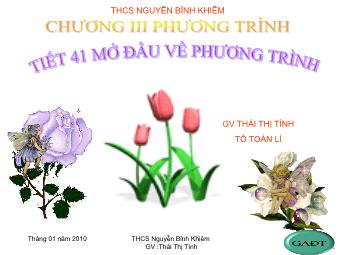 Bài giảng Đại số Lớp 8 - Chương 3 - Bài 1: Mở đầu về phương trình - Thái Thị Tình