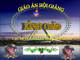 Bài giảng Đại số Lớp 8 - Chương 3 - Bài 2: Phương trình bậc nhất một ẩn và cách giải - Nguyễn Thu Lương