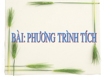 Bài giảng Đại số Lớp 8 - Chương 3 - Bài 4: Phương trình tích (Bản mới)