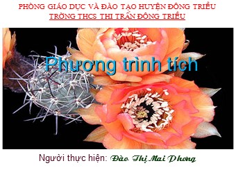 Bài giảng Đại số Lớp 8 - Chương 3 - Bài 4: Phương trình tích - Đào Thị Mai Phương