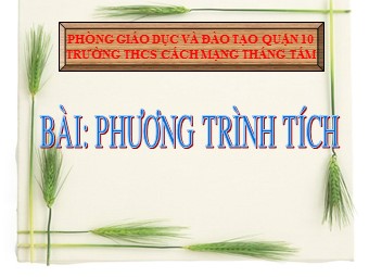 Bài giảng Đại số Lớp 8 - Chương 3 - Bài 4: Phương trình tích - Trường THCS Cách mạng tháng Tám