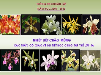 Bài giảng Đại số Lớp 8 - Chương 4 - Bài 1: Liên hệ giữa thứ tự và phép cộng - Trường THCS Đoàn Lập