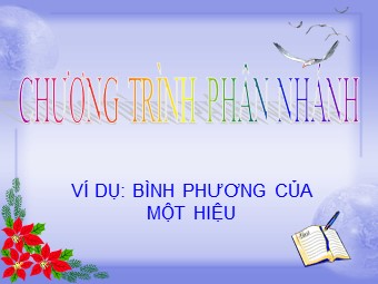 Bài giảng Đại số Lớp 8 - Chương trình phân nhánh