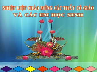 Bài giảng Đại số Lớp 8 - Tiết 18: Luyện tập (Bản hay)