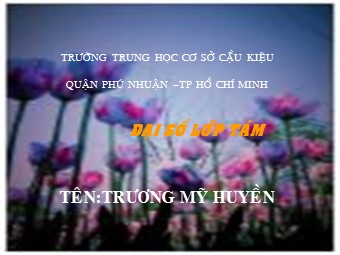 Bài giảng Đại số Lớp 8 - Tiết 49: Luyện tập phương trình chứa ẩn ở mẫu - Trương Mỹ Huyền