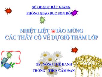 Bài giảng Đại số Lớp 8 - Tiết 53: Ôn tập chương 3 - Nông Thế Hanh