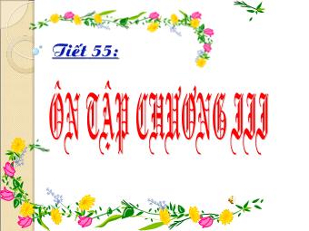 Bài giảng Đại số Lớp 8 - Tiết 55: Ôn tập chương 3 (Bản mới)