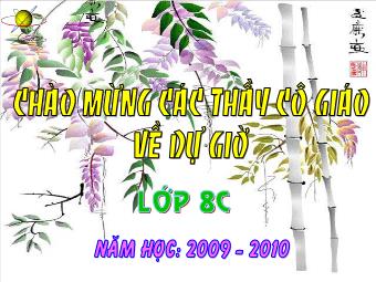 Bài giảng Đại số Lớp 8 - Tiết 55: Ôn tập chương 3 (Chuẩn kiến thức)