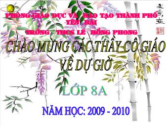 Bài giảng Đại số Lớp 8 - Tiết 66: Ôn tập cuối năm - Trường THCS Lê Hồng Phong