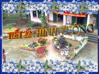 Bài giảng Hình học Lớp 8 - Tiết 22: Hình vuông