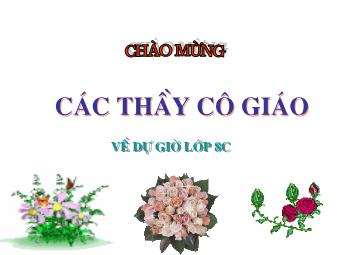 Bài giảng môn Đại số Lớp 8 - Chương 2 - Bài 7: Phép nhân các phân thức đại số (Bản chuẩn kiến thức)