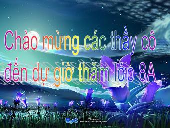 Bài giảng Số học Lớp 8 - Chương 2 - Bài 1: Phân thức đại số (Bản hay)