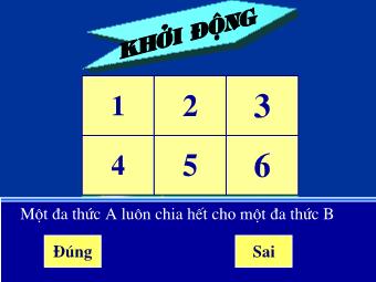 Bài giảng Số học Lớp 8 - Chương 2 - Bài 1: Phân thức đại số (Chuẩn kiến thức)