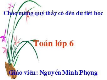 Bài giảng Đại số Lớp 6 - Chương 2 - Bài 1: Làm quen với số nguyên âm - Nguyễn Minh Phượng