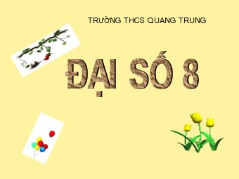 Bài giảng Đại số Lớp 8 - Chương 2 - Bài 2: Tính chất cơ bản của phân thức - Trường THCS Quang Trung