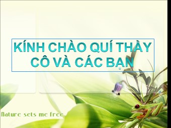 Bài giảng môn Vật lí Lớp 10 - Bài 4: Sự rơi tự do (Bản mới)