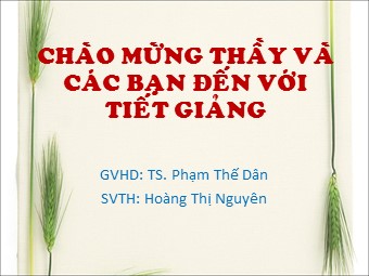 Bài giảng Vật lí Lớp 10 - Bài 29: Quá trình đẳng nhiệt. Định luật Boyle, Mariotle - Phạm Thế Dân