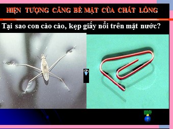 Bài giảng Vật lí Lớp 10 - Hiện tượng căng bề mặt của chất lỏng