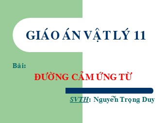 Bài giảng Vật lí Lớp 11 - Bài 47: Đường cảm ứng từ - Nguyễn Trọng Duy