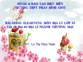 Bài giảng Địa lí 10 - Bài 40: Địa lí ngành thương mại - Trường THPT Phan Đình Giót