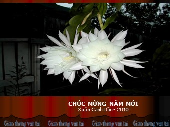 Bài giảng Địa lí 10 - Vai trò, đặc điểm và các nhân tố ảnh hưởng đến phát triển ngành giao thông vận tải (Bản chuẩn kỹ năng)