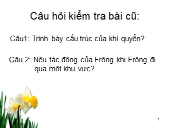 Bài giảng Địa lí Khối 10 - Bài 12: Sự phân bố khí áp. Một số loại gió chính