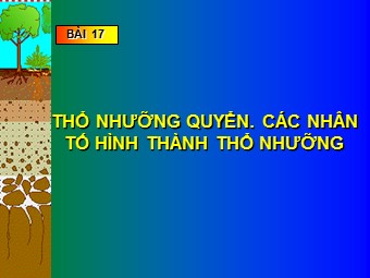 Bài giảng Địa lí Lớp 10 - Bài 17: Thổ nhưỡng quyển. Các nhân tố hình thành thổ nhưỡng