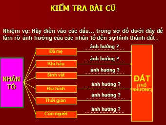 Bài giảng Địa lí Lớp 10 - Bài 18: Sinh quyển. Các nhân tố ảnh hưởng tới sự phát triển và phân bố của sinh vật (Chuẩn kiến thức)