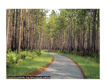 Bài giảng Địa lí Lớp 10 - Bài 18: Sinh quyển. Các nhân tố ảnh hưởng tới sự phát triển và phân bố của sinh vật (Bản mới)