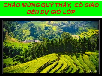 Bài giảng Địa lí Lớp 10 - Bài 19: Sự phân bố của sinh vật và đất trên Trái Đất - Nguyễn Đạt Thành