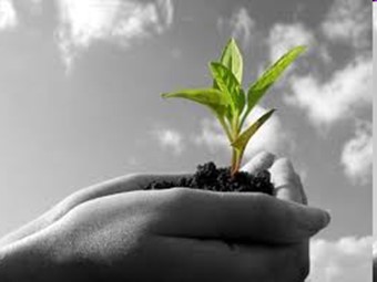 Bài giảng Địa lí Lớp 10 - Bài 20: Lớp vỏ địa lí. Quy luật thống nhất và hoàn chỉnh của lớp vỏ địa lí (Bản hay)