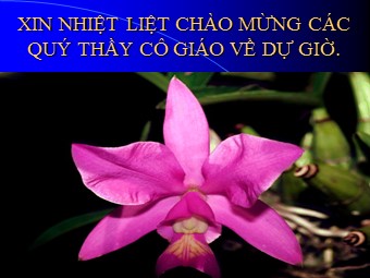 Bài giảng Địa lí Lớp 10 - Bài 24: Phân bố dân cư. Các loại hình quần cư và đô thị hóa (Bản hay)