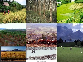 Bài giảng Địa lí Lớp 10 - Bài 27: Vai trò, đặc điểm, các nhân tố ảnh hưởng tới phát triển và phân bố nông nghiệp (Bản hay)