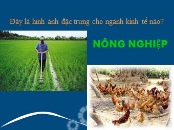 Bài giảng Địa lí Lớp 10 - Bài 27: Vai trò, đặc điểm, các nhân tố ảnh hưởng tới phát triển và phân bố nông nghiệp (Bản đẹp)