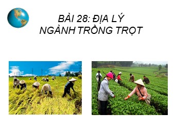 Bài giảng Địa lí Lớp 10 - Bài 28: Địa lí ngành trồng trọt (Bản hay)