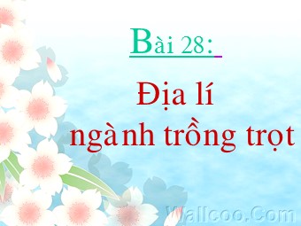 Bài giảng Địa lí Lớp 10 - Bài 28: Địa lí ngành trồng trọt