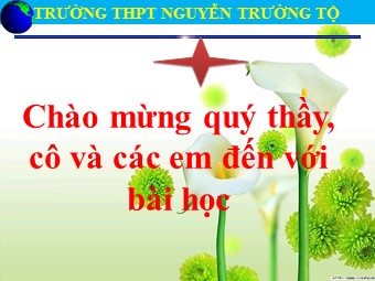 Bài giảng Địa lí Lớp 10 - Bài 37: Địa lí các ngành giao thông vận tải - Trường THPT Nguyễn Trường Tộ