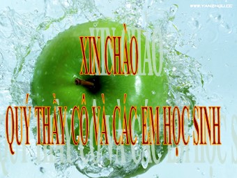 Bài giảng Địa lí Lớp 10 - Bài 37: Địa lí các ngành giao thông vận tải (Chuẩn kĩ năng)