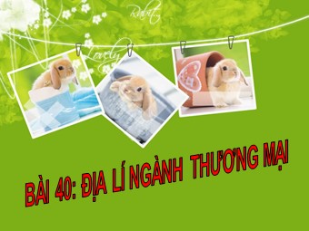 Bài giảng Địa lí Lớp 10 - Bài 40: Địa lí ngành thương mại (Chuẩn kiến thức)