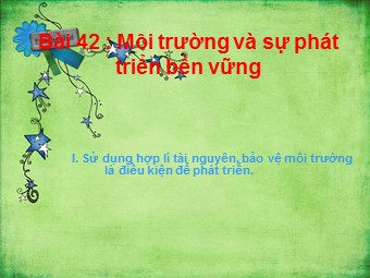 Bài giảng Địa lí Lớp 10 - Bài 42: Môi trường và sự phát triển bền vững