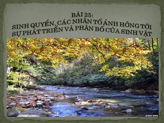 Bài giảng Địa lí Lớp 10 - Sinh quyển. Các nhân tố ảnh hưởng tới sự phát triển và phân bố của sinh vật (Chuẩn kĩ năng)