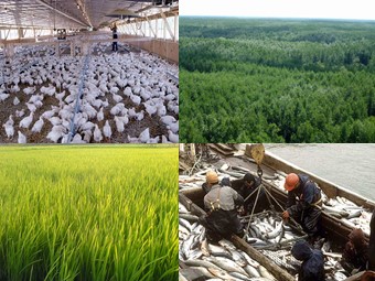 Bài giảng Địa lí Lớp 10 - Vai trò, đặc điểm, các nhân tố ảnh hưởng tới phát triển và phân bố nông nghiệp (Bản chuẩn kiến thức)