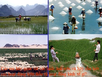 Bài giảng Địa lí Lớp 10 - Vai trò, đặc điểm, các nhân tố ảnh hưởng tới phát triển và phân bố nông nghiệp - Nguyễn Thị Hà