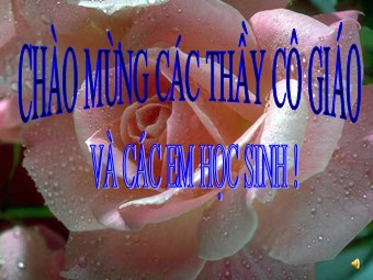 Bài giảng Địa lí Lớp 11 - Bài 1: Sự tương phản về trình độ phát triển kinh tế, xã hội của các nhóm nước - Đỗ Thị Thu Hương