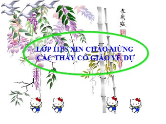 Bài giảng Địa lí Lớp 11 - Bài 11: Khu vực Đông Nam Á - Tiết 1: Tự nhiên, dân cư và xã hội (Bản chuẩn kiến thức)